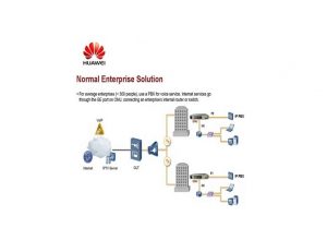 Professional-Huawei-Normal_1